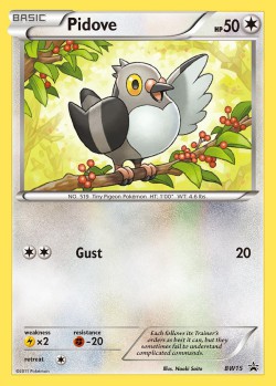 Carte Pokémon: Pidove