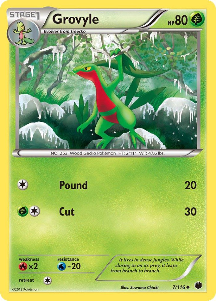 Carte Pokémon: Grovyle [Massko]