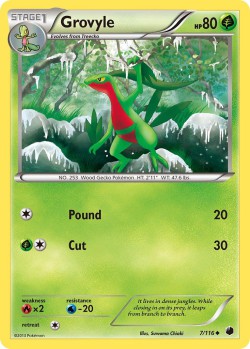 Carte Pokémon: Grovyle