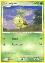 Carte Pokémon: Tortipouss