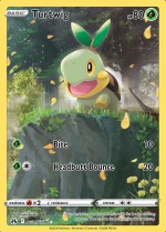 Carte Pokémon: Tortipouss