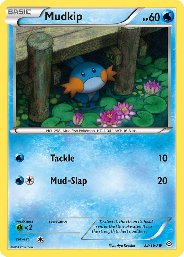 Carte Pokémon: Mudkip [Gobou]