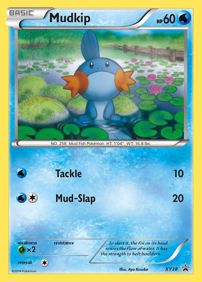 Carte Pokémon: Mudkip [Gobou]