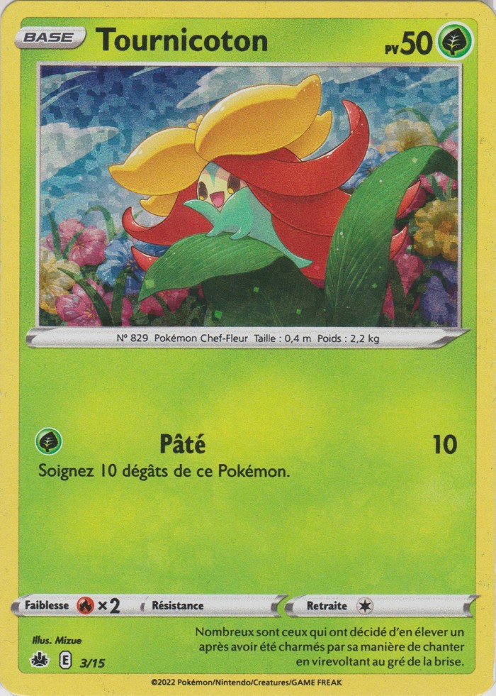 Carte Pokémon: Tournicoton