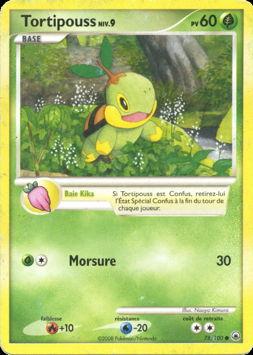 Carte Pokémon: Tortipouss