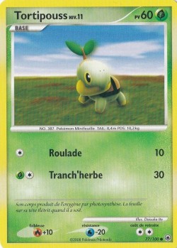 Carte Pokémon: Tortipouss