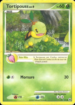 Carte Pokémon: Tortipouss