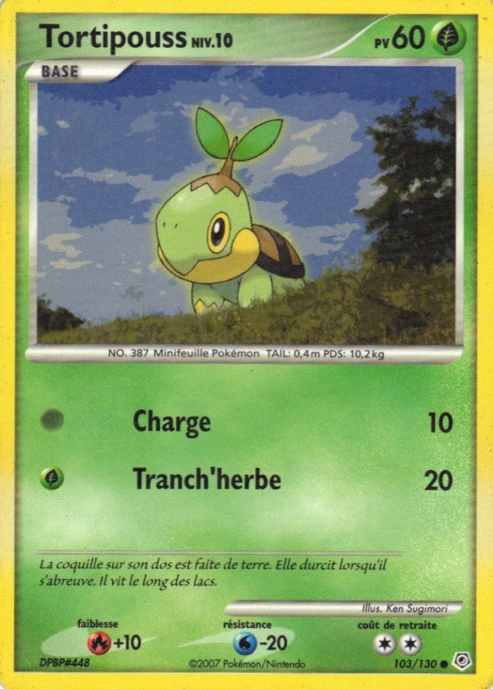 Carte Pokémon: Tortipouss