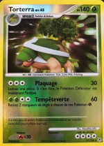 Carte Pokémon: Torterra