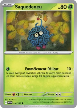 Carte Pokémon: Saquedeneu