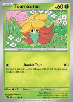 Carte Pokémon: Tournicoton