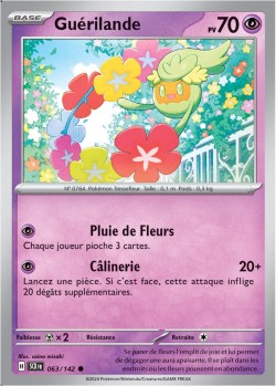 Carte Pokémon: Guérilande