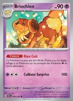 Carte Pokémon: Briochien