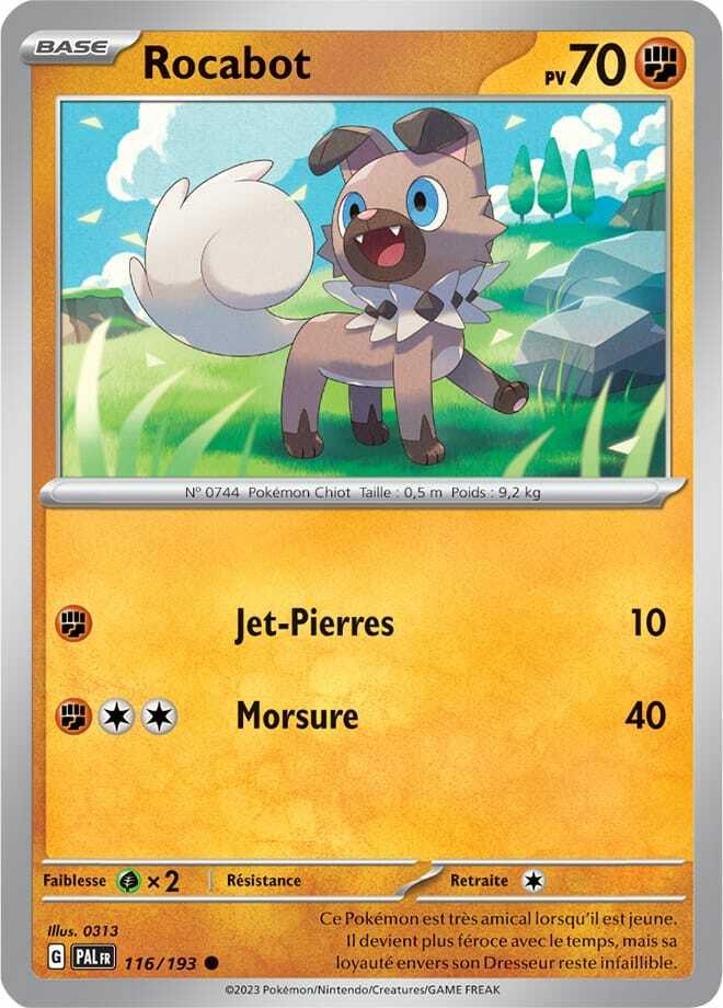 Carte Pokémon: Rocabot