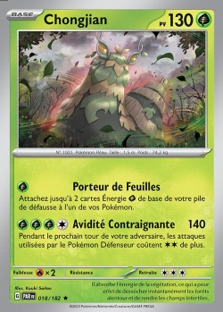 Carte Pokémon: Chongjian