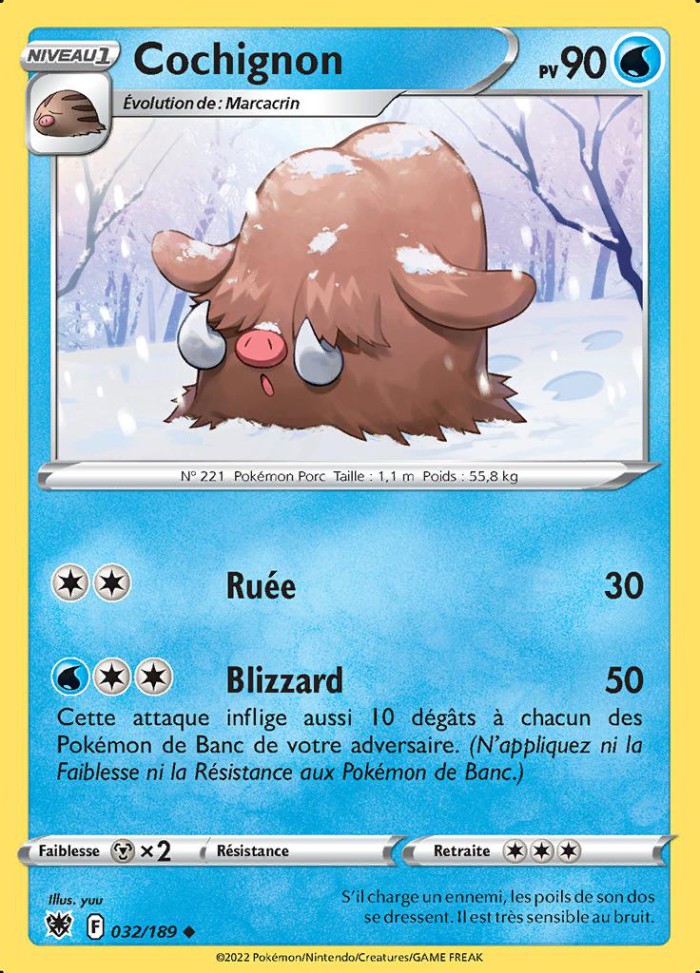 Carte Pokémon: Cochignon