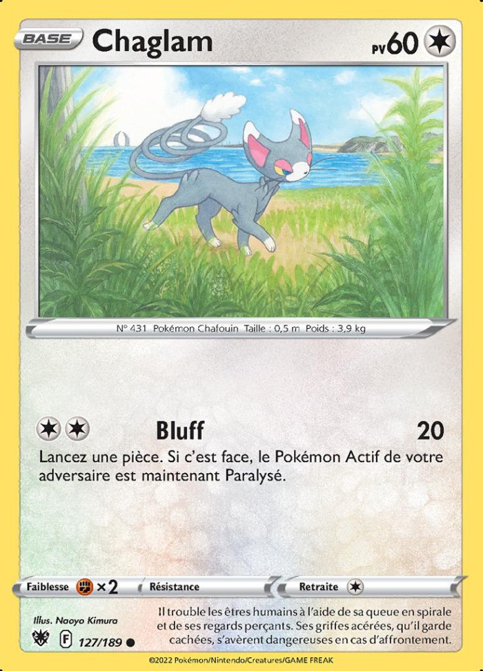 Carte Pokémon: Chaglam