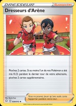 Carte Pokémon: Dresseurs d'Arène