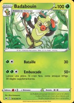 Carte Pokémon: Badabouin