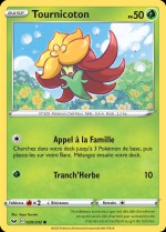 Carte Pokémon: Tournicoton