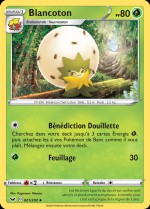 Carte Pokémon: Blancoton