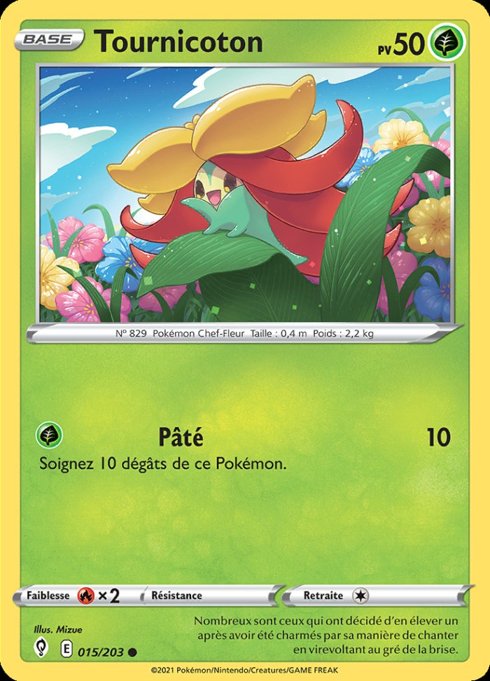 Carte Pokémon: Tournicoton