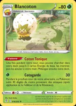 Carte Pokémon: Blancoton