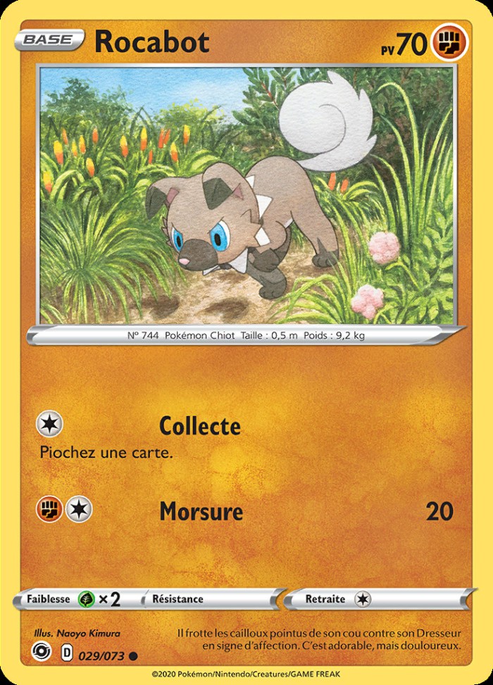 Carte Pokémon: Rocabot