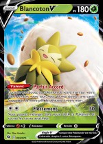 Carte Pokémon: Blancoton