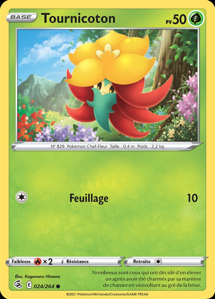 Carte Pokémon: Tournicoton