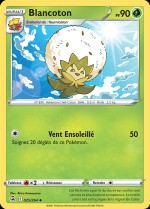 Carte Pokémon: Blancoton