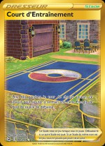 Carte Pokémon: Court d'Entraînement