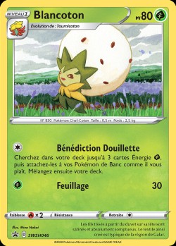 Carte Pokémon: Blancoton