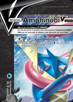 Carte Pokémon: Amphinobi VUNION