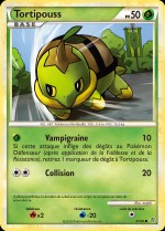 Carte Pokémon: Tortipouss