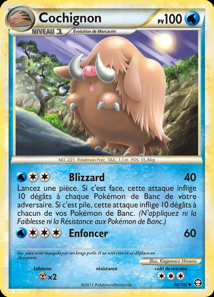 Carte Pokémon: Cochignon