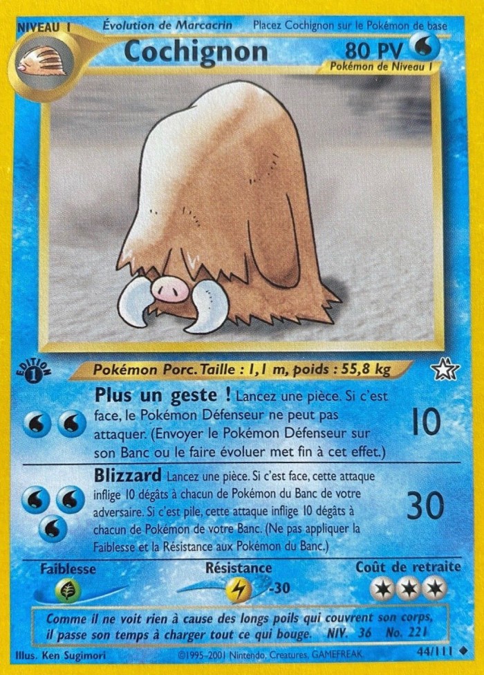 Carte Pokémon: Cochignon