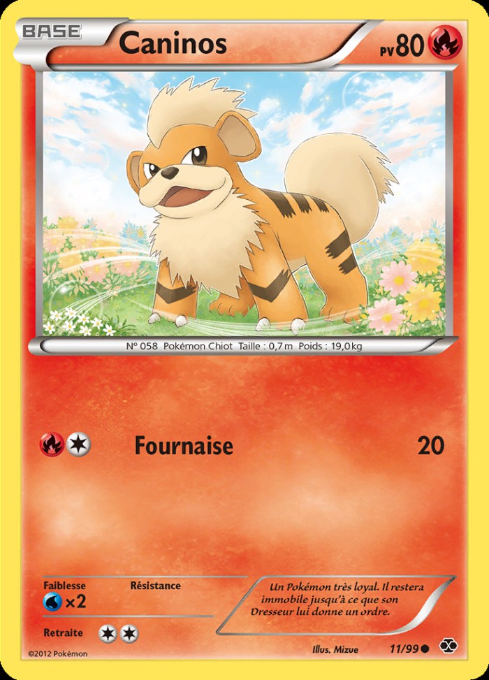 Carte Pokémon: Caninos