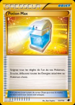 Carte Pokémon: Potion Max