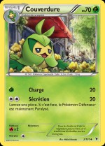 Carte Pokémon: Couverdure