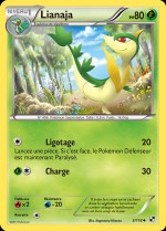 Carte Pokémon: Lianaja