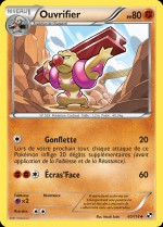 Carte Pokémon: Ouvrifier