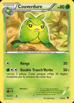 Carte Pokémon: Couverdure