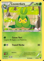 Carte Pokémon: Couverdure