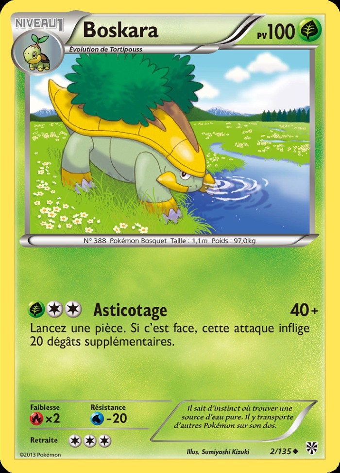 Carte Pokémon: Boskara