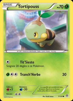 Carte Pokémon: Tortipouss