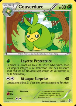 Carte Pokémon: Couverdure