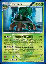 Carte Pokémon: Torterra