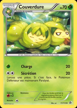 Carte Pokémon: Couverdure