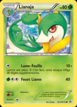 Carte Pokémon: Lianaja